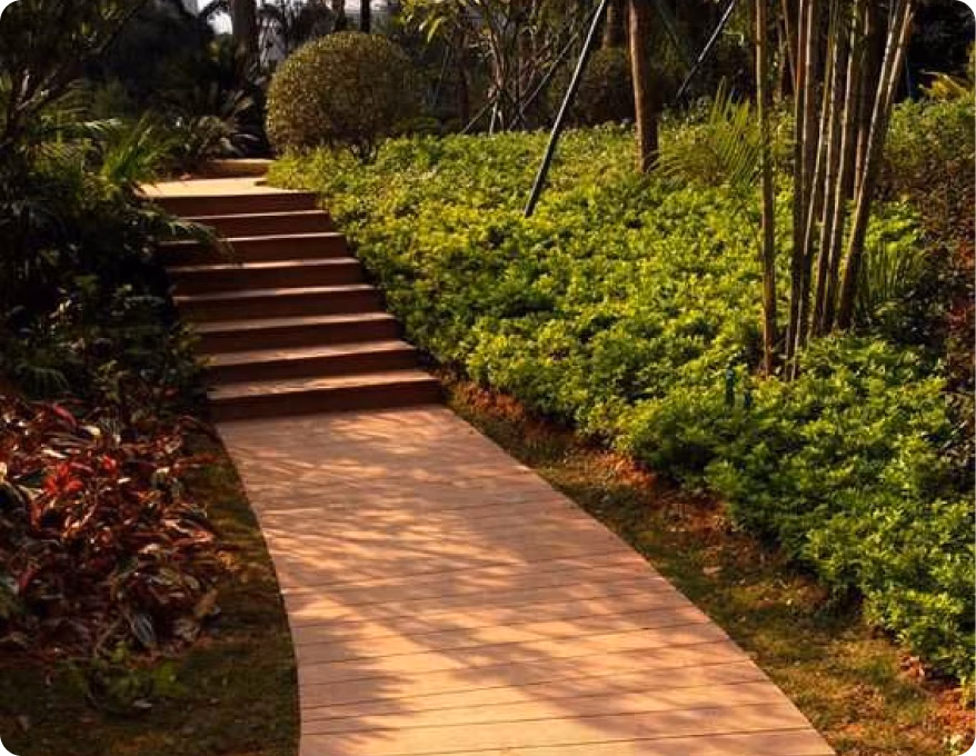 Sunset wooden path